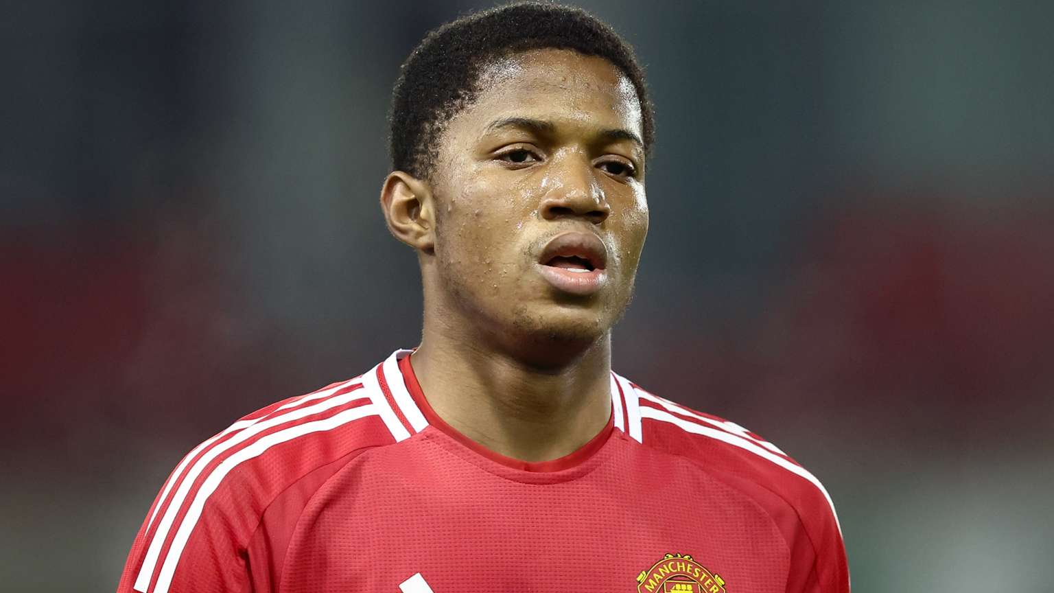 防守韌性 防守韌性