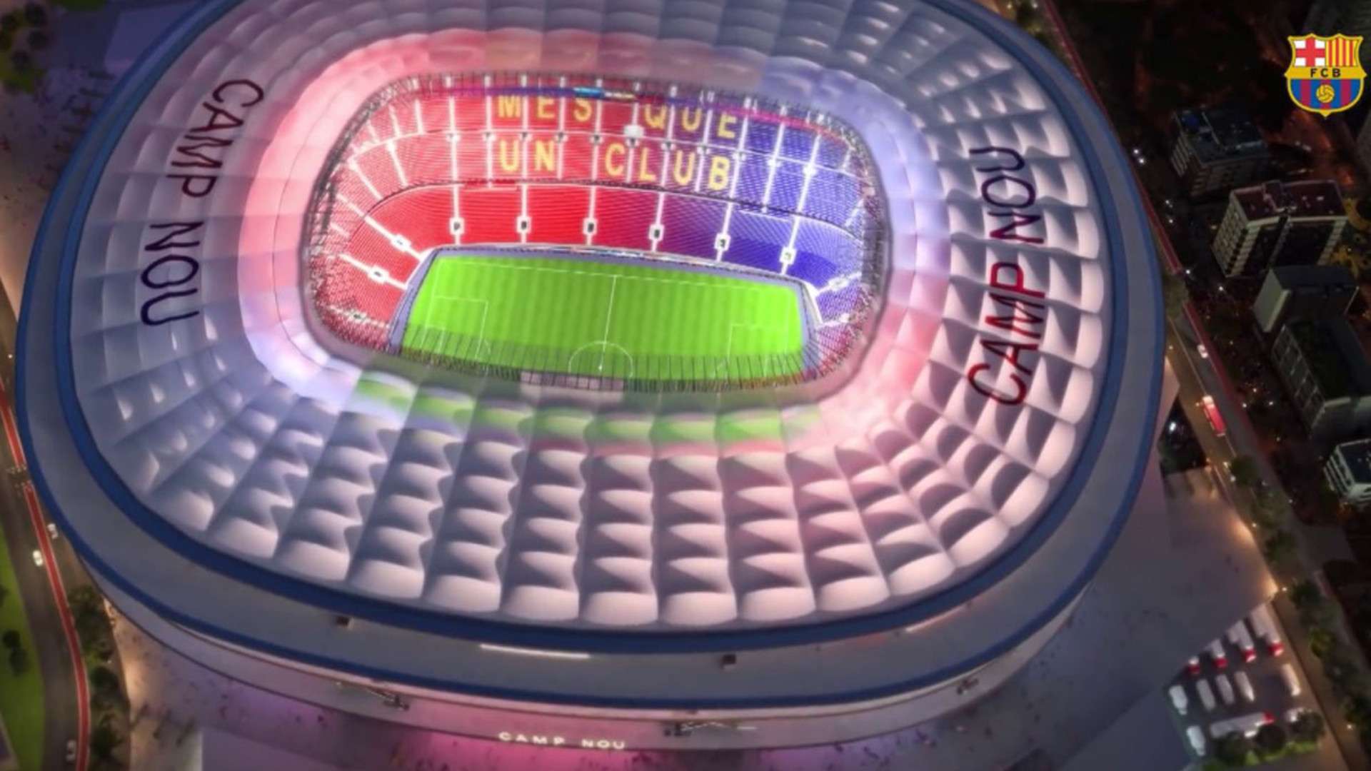 比利时国脚 比利时国脚