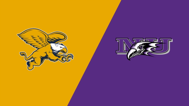 正是对他们 正是对他们